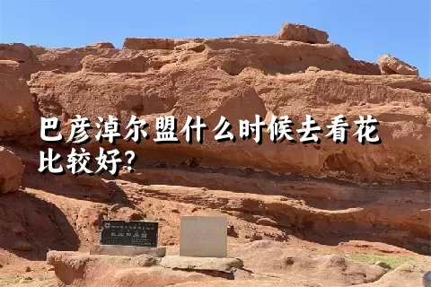 巴彦淖尔盟什么时候去看花比较好？