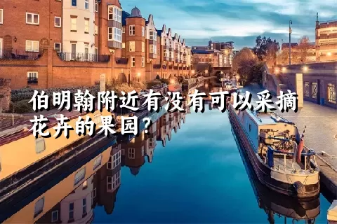 伯明翰附近有没有可以采摘花卉的果园？