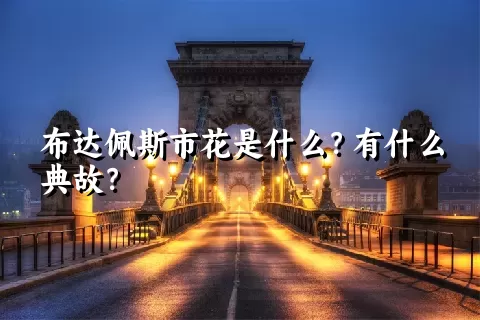 布达佩斯市花是什么？有什么典故？