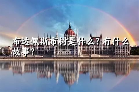 布达佩斯市树是什么？有什么故事？