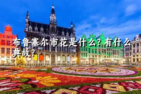 布鲁塞尔市花是什么？有什么典故？