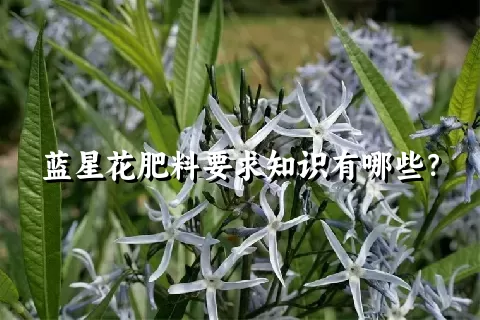 蓝星花肥料要求知识有哪些？