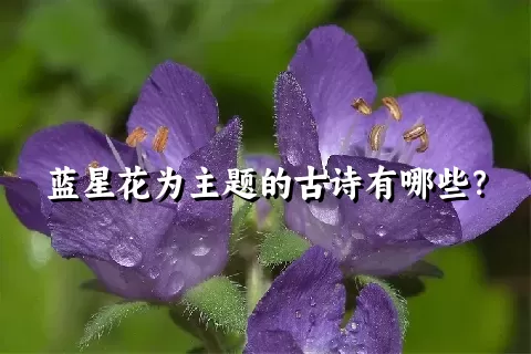 蓝星花为主题的古诗有哪些？