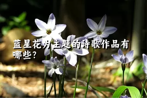 蓝星花为主题的诗歌作品有哪些？