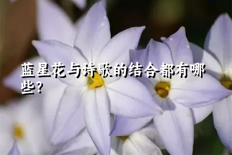 蓝星花与诗歌的结合都有哪些？