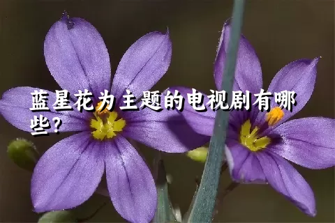 蓝星花为主题的电视剧有哪些？