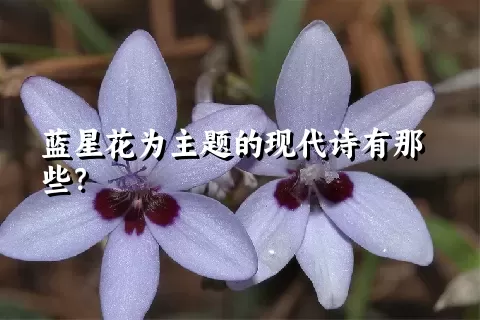 蓝星花为主题的现代诗有那些？