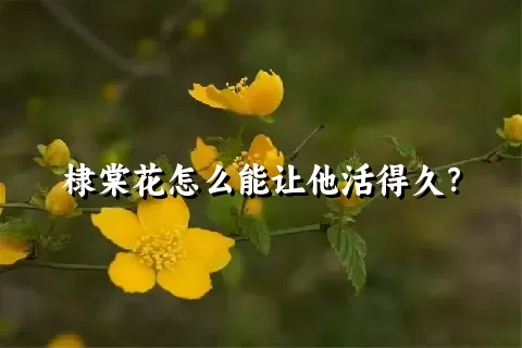 棣棠花怎么能让他活得久？