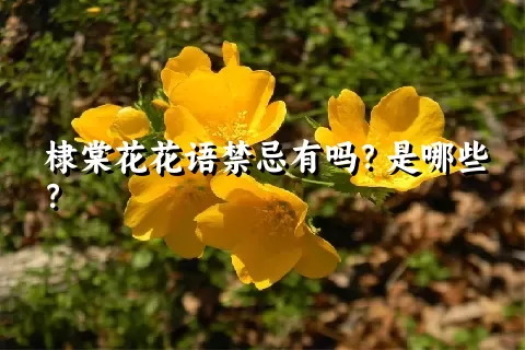 棣棠花花语禁忌有吗？是哪些？