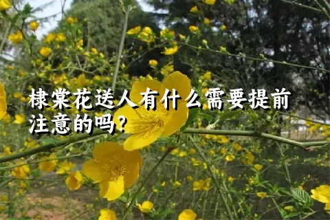 棣棠花送人有什么需要提前注意的吗？