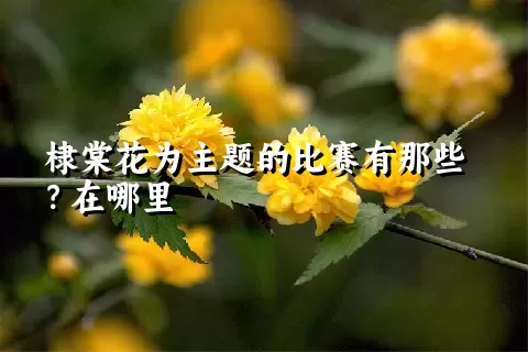 棣棠花为主题的比赛有那些？在哪里