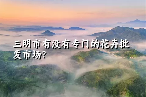 三明市有没有专门的花卉批发市场？