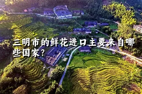 三明市的鲜花进口主要来自哪些国家？