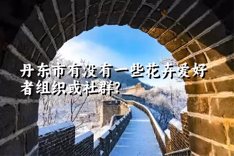 丹东市有没有一些花卉爱好者组织或社群？