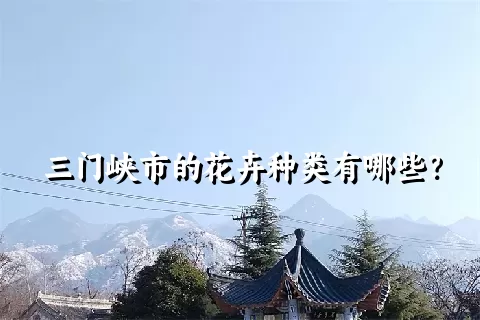 三门峡市的花卉种类有哪些？