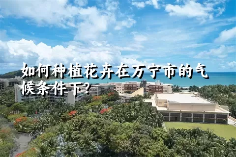 如何种植花卉在万宁市的气候条件下？