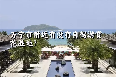 万宁市附近有没有自驾游赏花胜地？