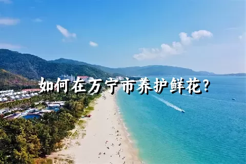 如何在万宁市养护鲜花？