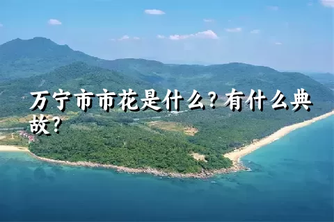 万宁市市花是什么？有什么典故？