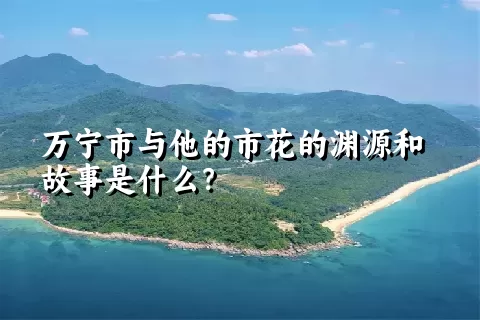 万宁市与他的市花的渊源和故事是什么？