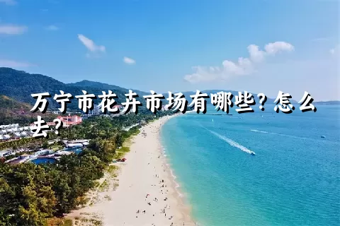 万宁市花卉市场有哪些？怎么去？