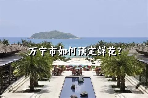 万宁市如何预定鲜花？