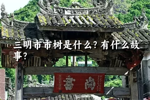 三明市市树是什么？有什么故事？