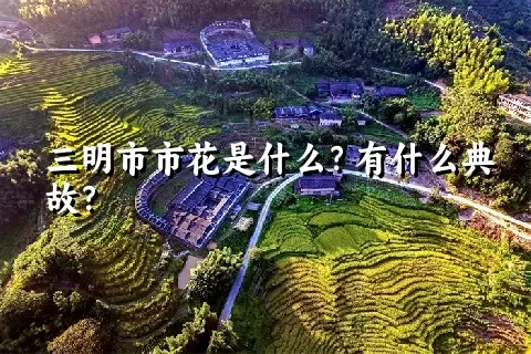 三明市市花是什么？有什么典故？