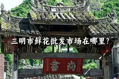 三明市鲜花批发市场在哪里？