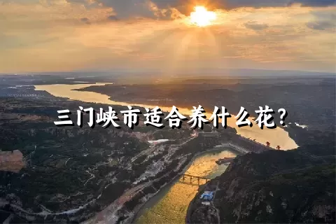 三门峡市适合养什么花？