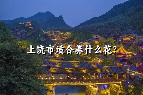 上饶市适合养什么花？