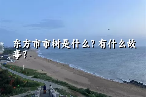 东方市市树是什么？有什么故事？