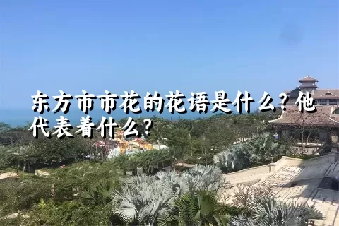 东方市市花的花语是什么？他代表着什么？