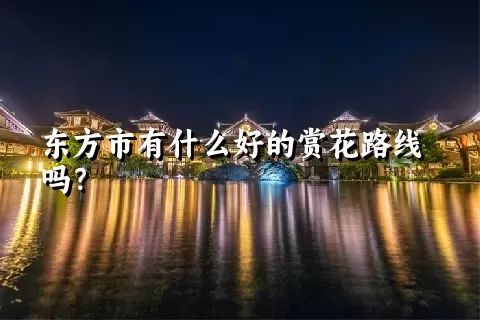 东方市有什么好的赏花路线吗？