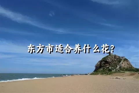 东方市适合养什么花？