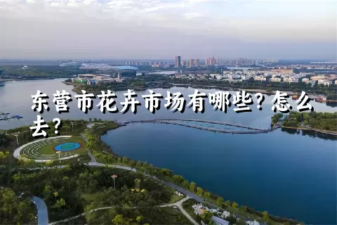 东营市花卉市场有哪些？怎么去？