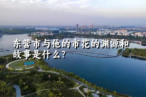 东营市与他的市花的渊源和故事是什么？