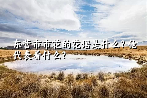 东营市市花的花语是什么？他代表着什么？