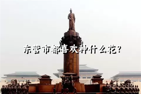 东营市都喜欢种什么花？