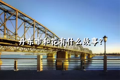 丹东市和花有什么故事？