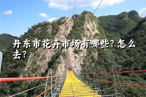 丹东市花卉市场有哪些？怎么去？