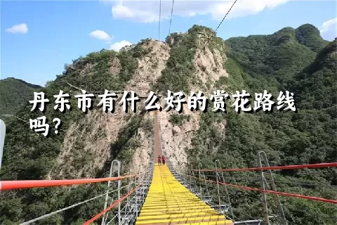 丹东市有什么好的赏花路线吗？