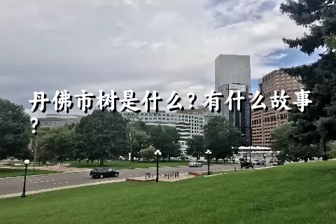 丹佛市树是什么？有什么故事？