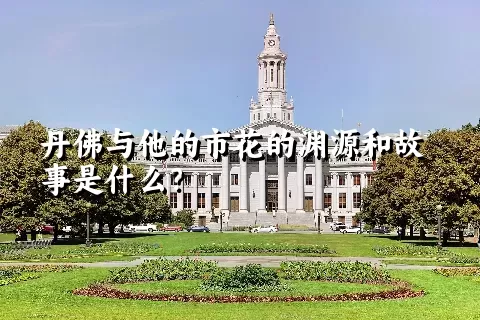 丹佛与他的市花的渊源和故事是什么？