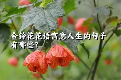 金铃花花语寓意人生的句子有哪些？