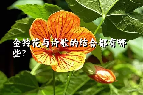 金铃花与诗歌的结合都有哪些？