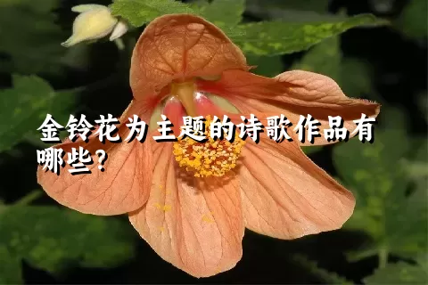 金铃花为主题的诗歌作品有哪些？