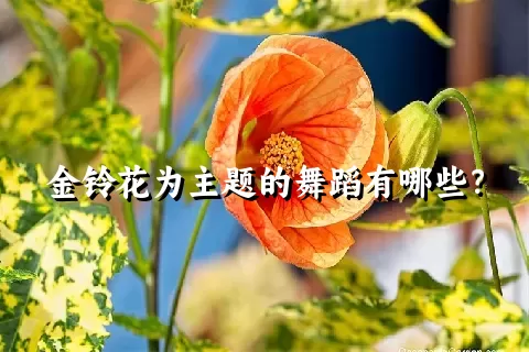 金铃花为主题的舞蹈有哪些？