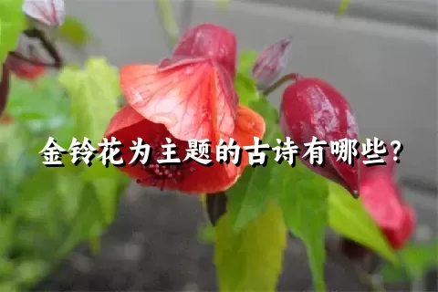 金铃花为主题的古诗有哪些？