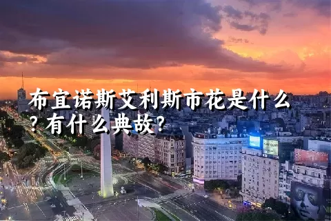 布宜诺斯艾利斯市花是什么？有什么典故？